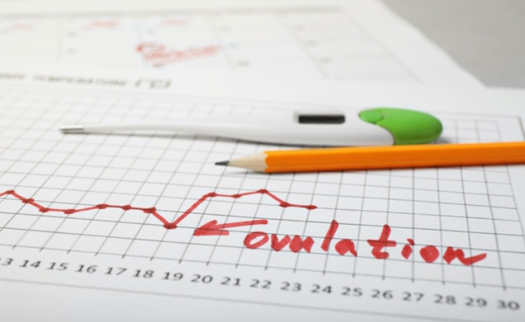 Méthodes pour tracer l'ovulation