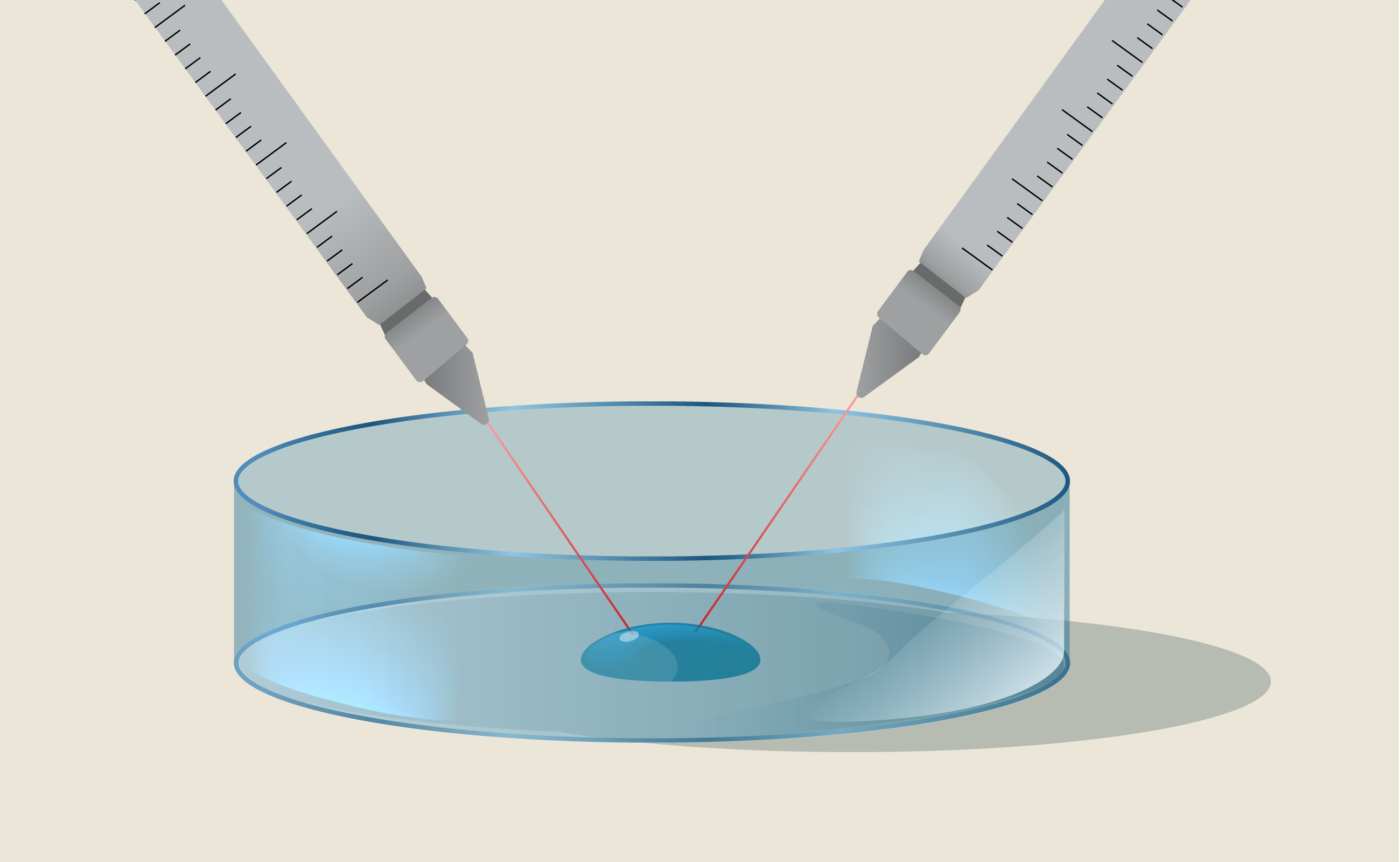 Fécondation in vitro (FIV)