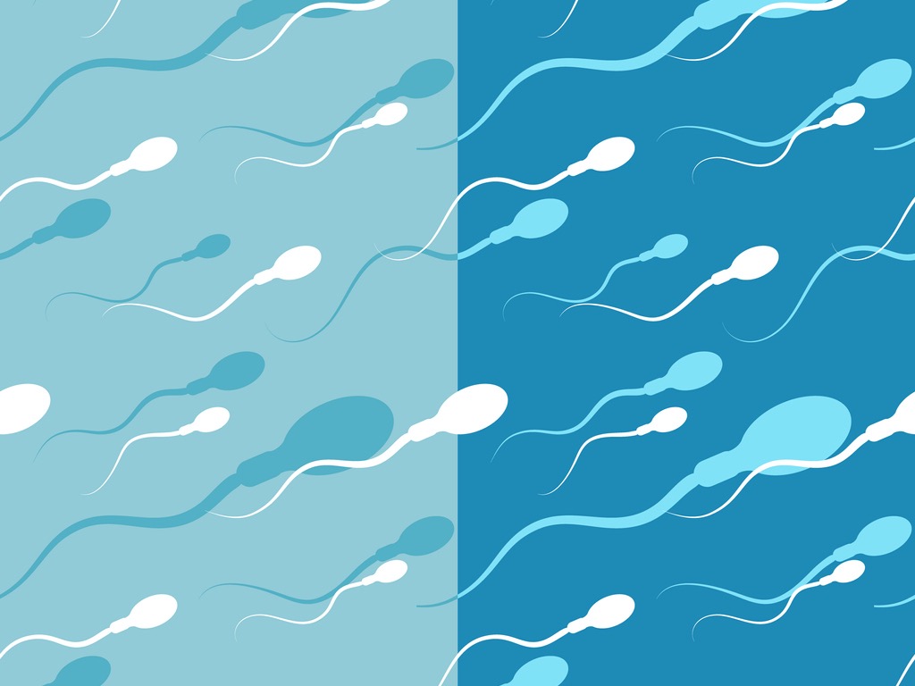 All about sperm